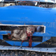 Illustration for article titled NASCAR Driver Hits Coyote At 190 MPH